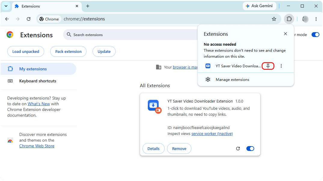 pin extension to chrome browser