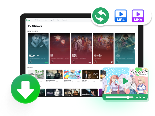 hulu video downloader banner