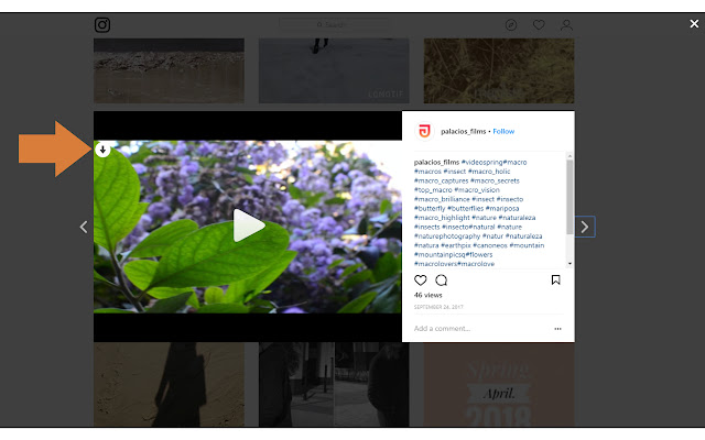 instagram video download chrome extension