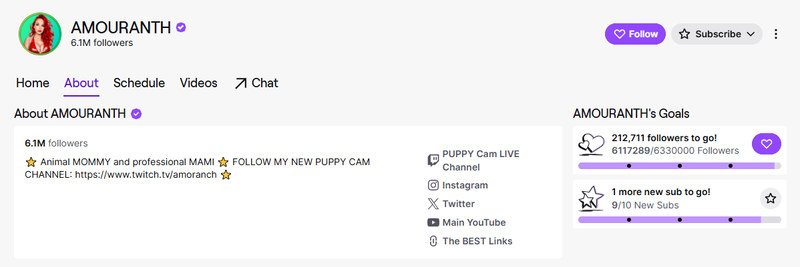 Amouranth Twitch Streamer with Onlyfans