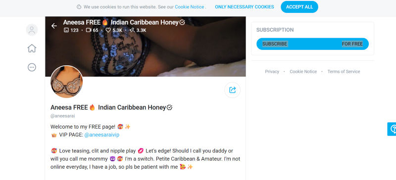 indian onlyfans model aneesa