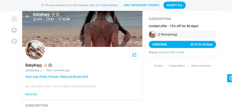 indian onlyfans model babykayy