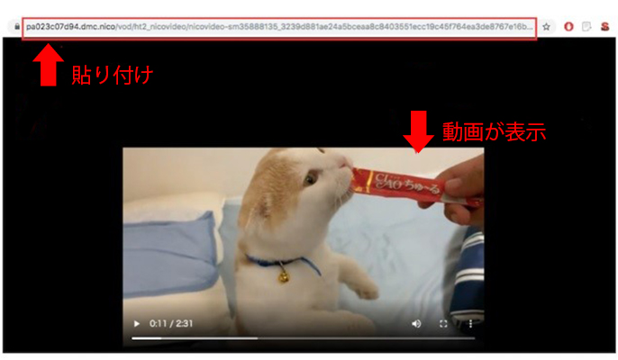 ブラウザでニコニコURLを貼り付け
