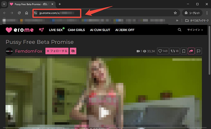 Erome動画のURLをコピー