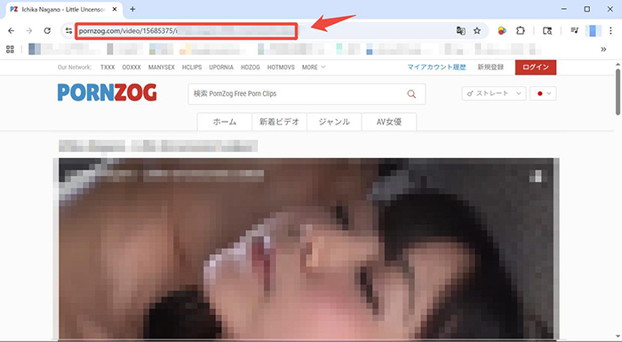 pornzog 動画のURLをコピー