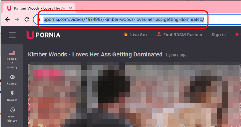 upornia downloader