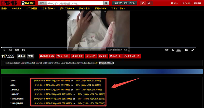 Eporner ダウンロード