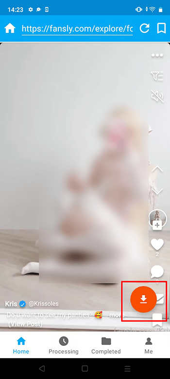 download fansly video via ytsaver app