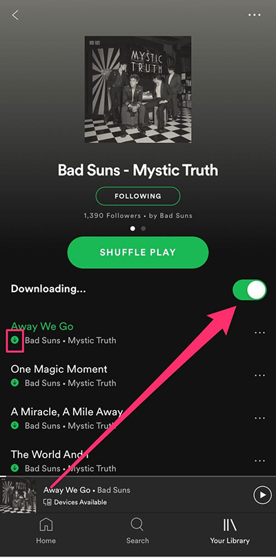 How to Download Spotify Playlist to MP3 With/Without Premium