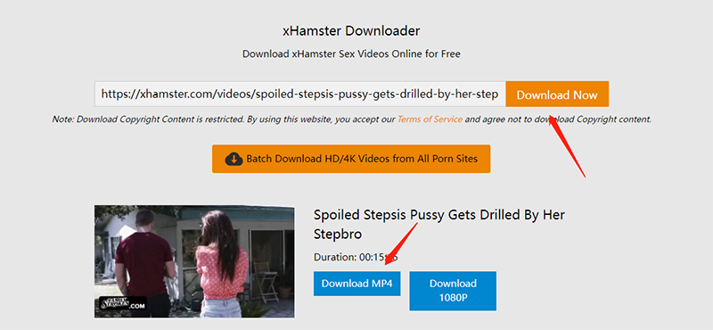 Porno online downloader