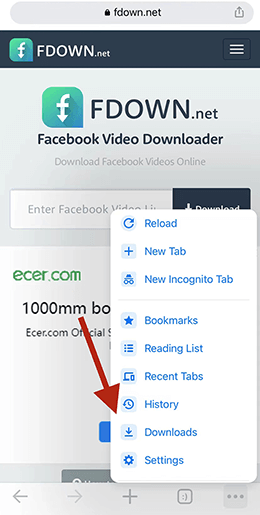 fdwon facebook reel downloader