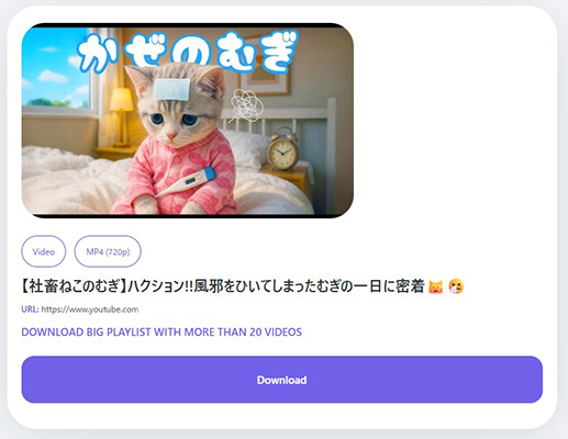 downloaderto youtube mp4 ダウンロード