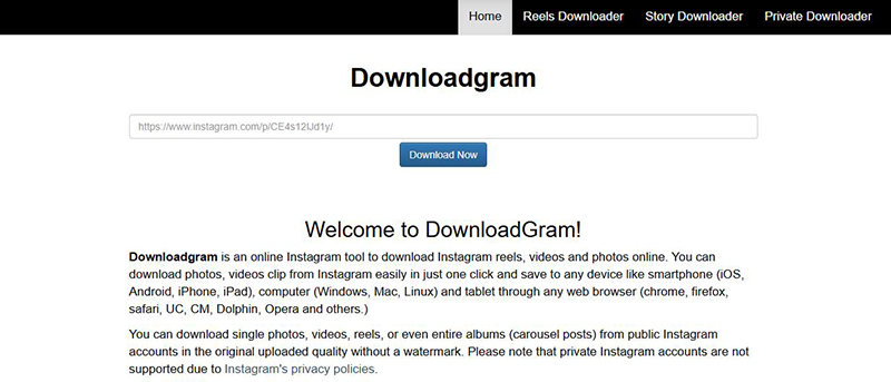 DownloadGram インスタ動画保存サイト