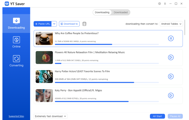 Downloading Videos in Idownergo