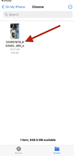 fdwon facebook reel downloader