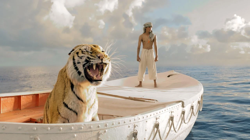 3d Movies on Netflix Life of Pi