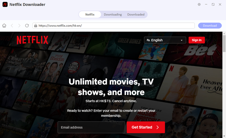 Log in to Netflix Account