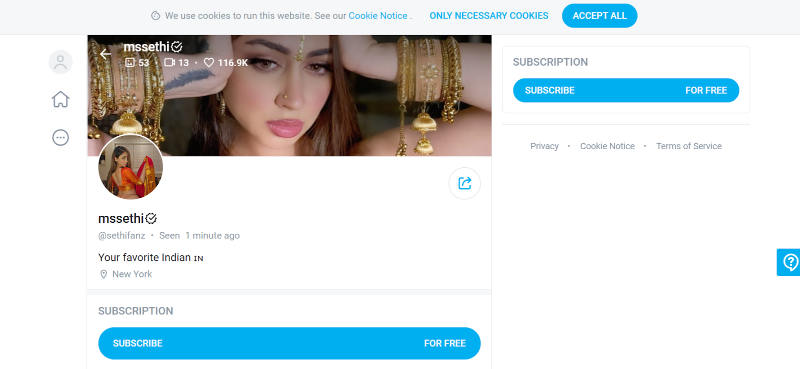 indian onlyfans model mssethi