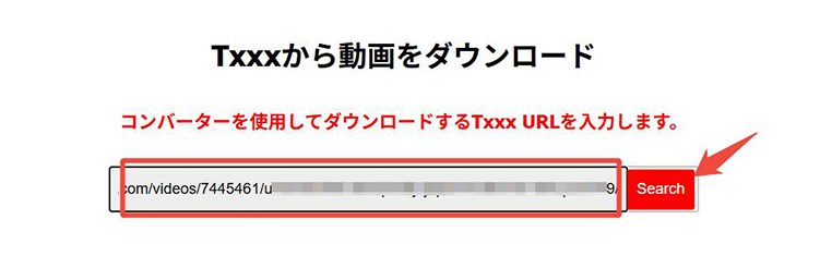 DownloadTube TXXX動画のURLを貼り付け