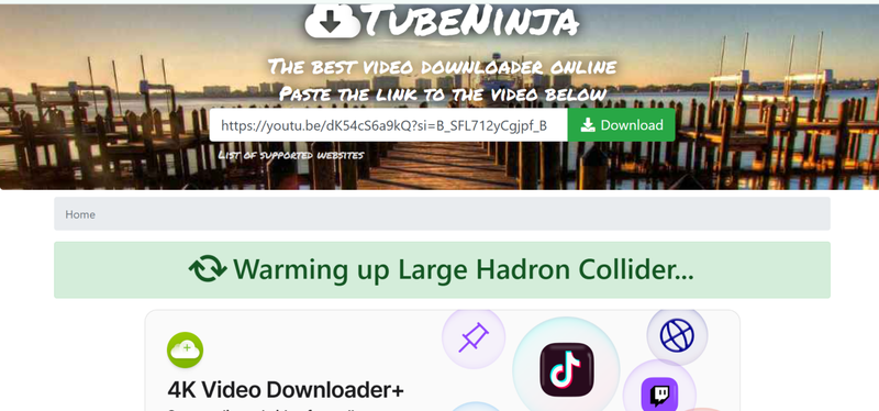 Paste Video Link into Tubeninja