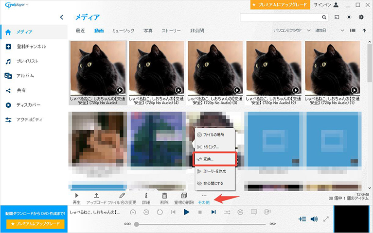 RealPlayer mp4 ファイル選択