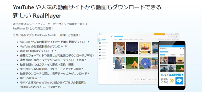 RealPlayer mp4 wav 変換