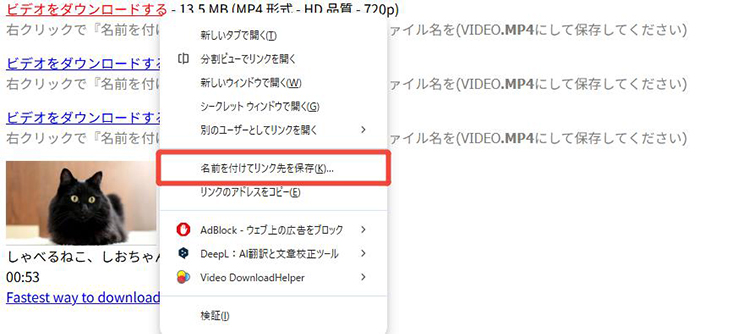 Savevideo.me Vimeo動画保存