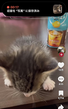 tiktok 動画保存 ロゴなし 画面録画