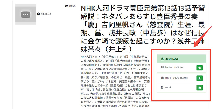 TubeNinja 9tsu 画質とフォーマットを選択