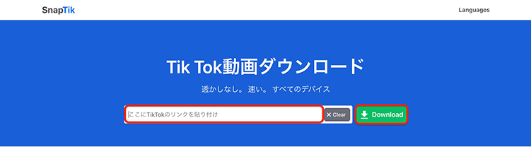 TikTok 動画のURLを入力