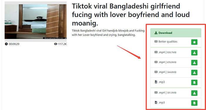 TubeNinja Epornerダウンロード