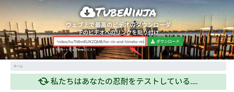 TubeNinja Iwara 動画 解析