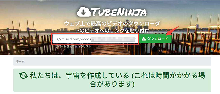 TubeNinja ThisVid動画のURLを貼り付け
