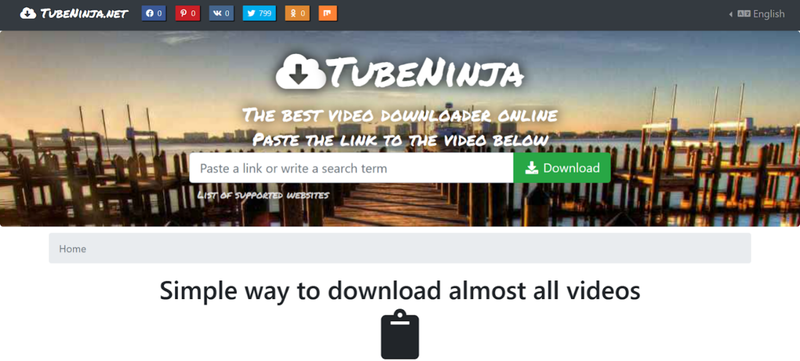 Tubeninja Review