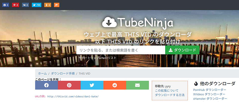 TubeNinja ThisVid ダウンロード