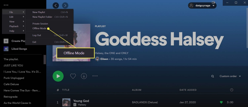 Turn on Offline Mode in Spotify