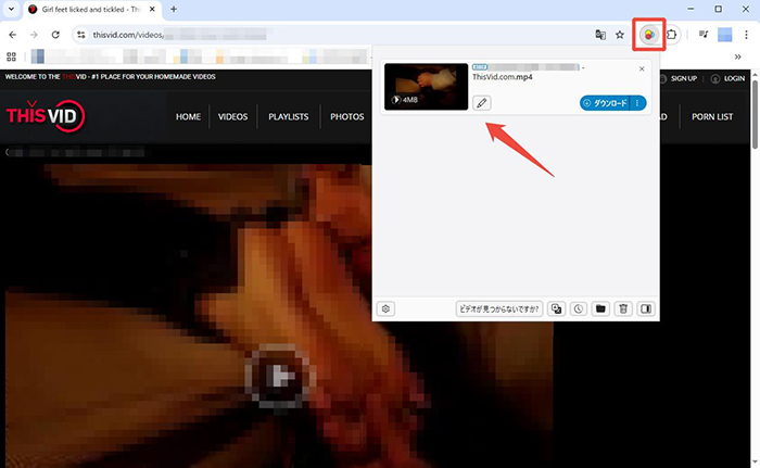 Video DownloaderHelper 動画リスト