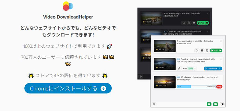 Video DownloadHelper fansly ダウンロード
