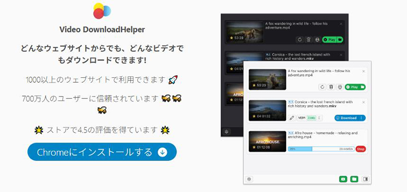 Video DownloadHelper youtube 動画 保存 pc