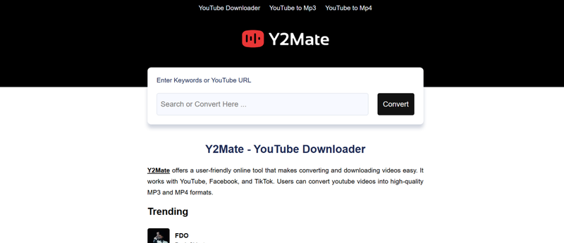 Y2mate Online Downloader