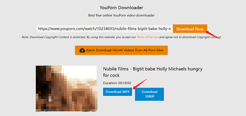 Download Youporn