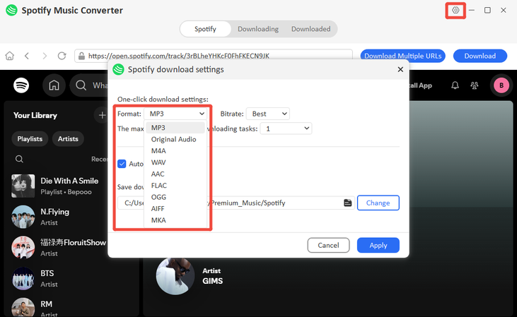 Configuración del Ytsaver Spotify Music Converter